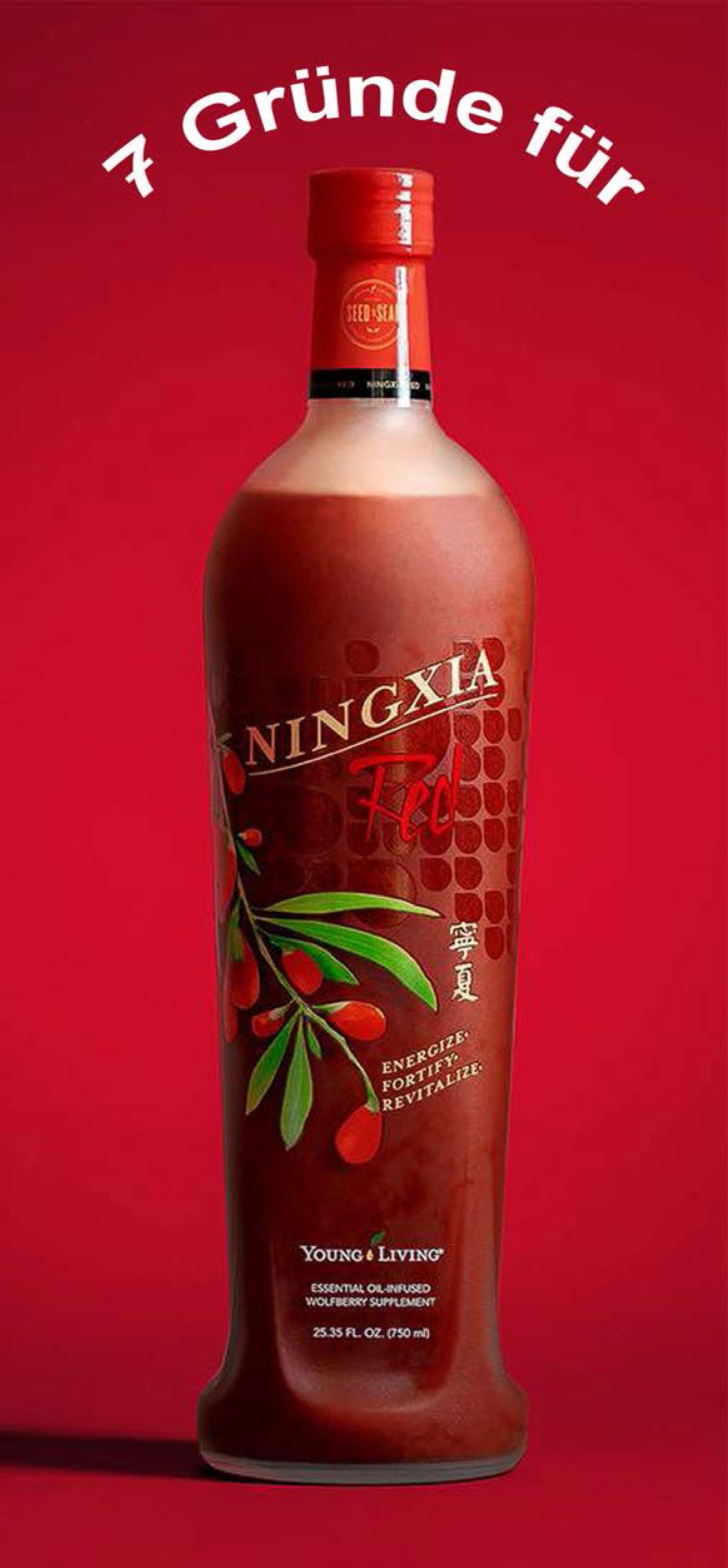 Folder 7 Gründe für Ningxia Red